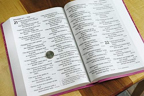 NIV, Super Giant Print Reference Bible (Font Size: 16.5-point), Leathersoft, Pink, Red Letter, Comfort Print by Zondervan