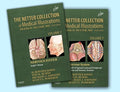 The Netter Collection of Medical Illustrations: Nervous System Package: 2-Volume Set (Netter Green Book Collection) by Michael J. Aminoff MD DSc FRCP