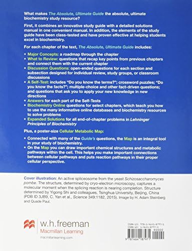 Absolute, Ultimate Guide to Principles of Biochemistry Study Guide and Solutions Manual by David L. Nelson