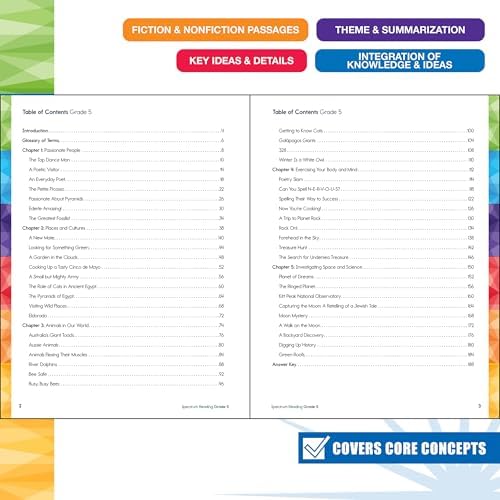 Spectrum Reading 5th Grade Workbooks, Activity Book Covering Nonfiction and Fiction Passages, Theme, Summarization, and more, Classroom or Homeschool Curriculum by Spectrum