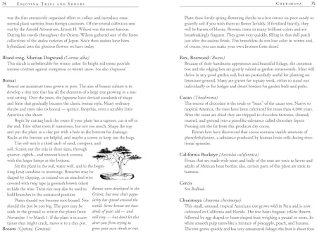 Roses Love Garlic: Companion Planting and Other Secrets of Flowers by Louise Riotte
