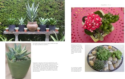 Succulent Container Gardens: Design Eye-Catching Displays with 350 Easy-Care Plants by Debra Lee Baldwin