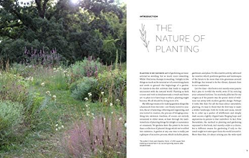 New Naturalism: Designing and Planting a Resilient, Ecologically Vibrant Home Garden by Kelly D. Norris