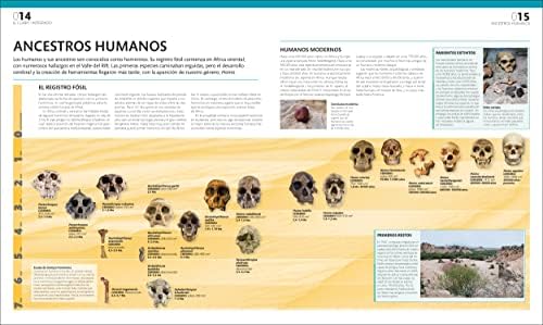 El gran libro del cuerpo humano (The Complete Human Body) (Spanish Edition) by Dr. Alice Roberts