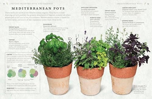 The Cook's Herb Garden: Grow, Harvest, Cook by DK