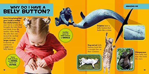 National Geographic Little Kids First Big Book of Why: Questions and Answers About the World for Curious Kids by Amy Shields