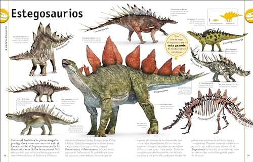 El libro de los dinosaurios (The Dinosaur Book) (DK Our World in Pictures) (Spanish Edition) by DK