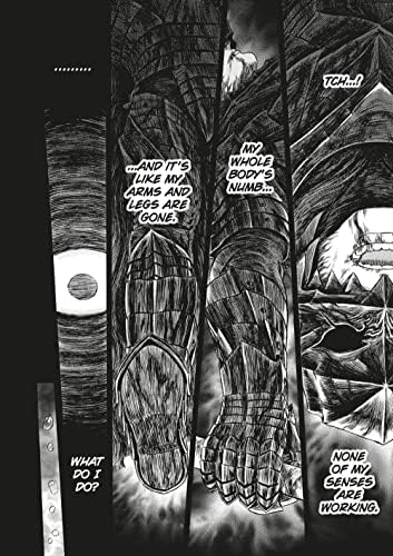 Berserk Deluxe Volume 13 by Kentaro Miura