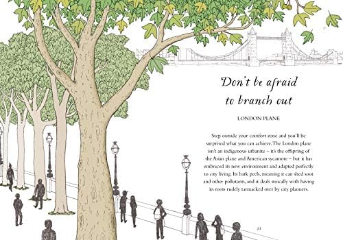 How to Be More Tree: Essential Life Lessons for Perennial Happiness by Potter Gift