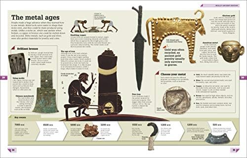 History Year by Year: The History of the World, from the Stone Age to the Digital Age (DK Children's Year by Year) by DK