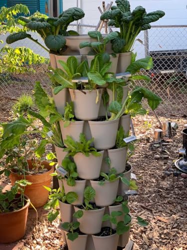 The Urban Harvest Guide: Grow Real Food, Cultivate Community, and Feed Your Family Seasonally by Elise Pickett