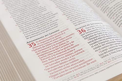 Biblia Peshitta. Símil piel, caoba duotono / Peshitta Bible. LeatherTouch, Mahogany DuoTone (Spanish Edition) by B&H Español Editorial Staff