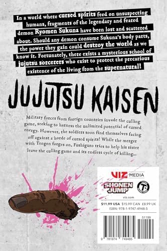 Jujutsu Kaisen, Vol. 24 by Gege Akutami