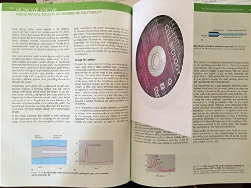 Essential Cell Biology by Bruce Alberts