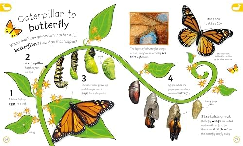 My Encyclopedia of Very Important Things: For Little Learners Who Want to Know Everything (My Very Important Encyclopedias) by DK