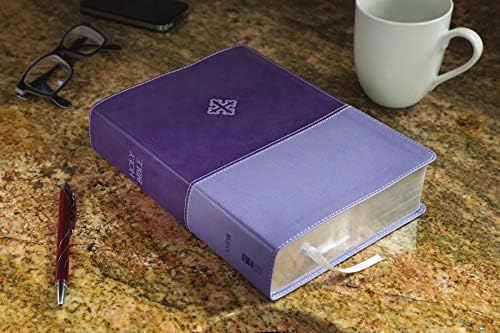The Amplified Study Bible, Leathersoft, Purple by Zondervan