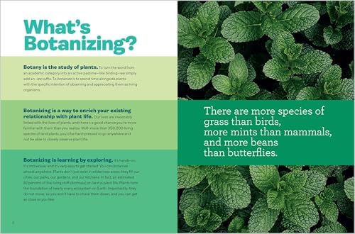Let's Botanize: 101 Ways to Connect with Plants by Ben Goulet-Scott