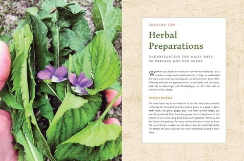 The Modern Herbal Dispensatory: A Medicine-Making Guide by Thomas Easley