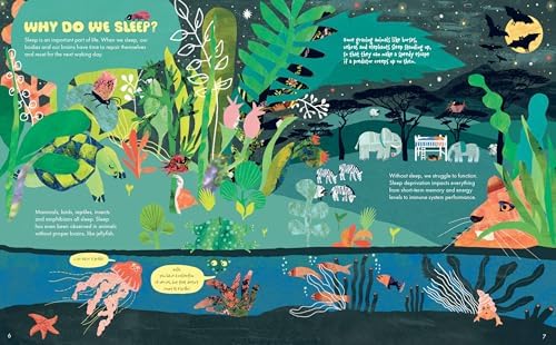 Why Do We Sleep? by Cathy Evans