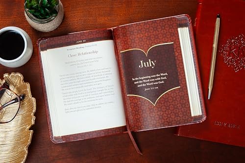 The Bible Reading Plan Devotional for Men: 365 Daily Meditations by Ken Castor