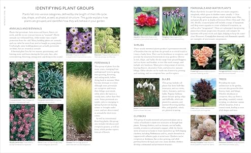 Encyclopedia of Garden Plants for Every Location: An Expert Guide to More Than 3,000 Plants by DK