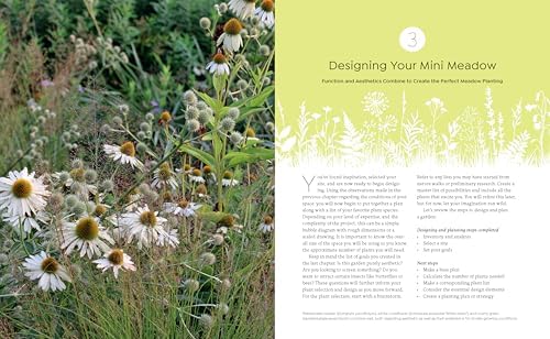 Tiny and Wild: Build a Small-Scale Meadow Anywhere by Graham Laird Gardner