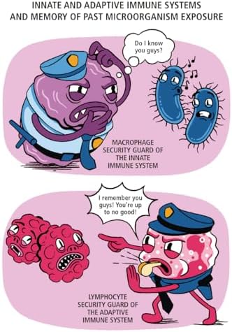 Immunology Made Ridiculously Simple: Color Edition by Massoud Mahmoudi D.O. Ph.D.