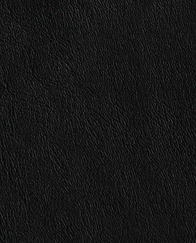 CATHOLICISM: The Pivotal Players Study Guide by Robert E. Barron