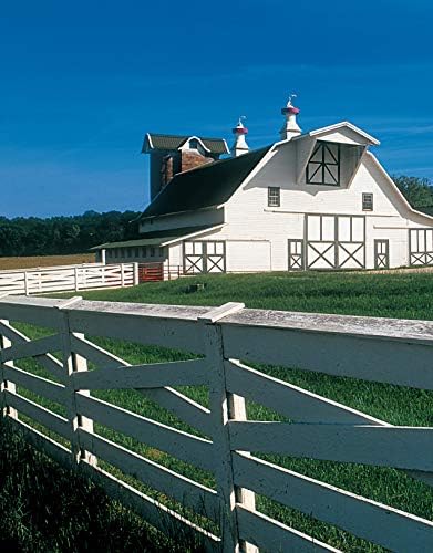 Ultimate Guide: Barns, Sheds & Outbuildings, Updated 4th Edition: Step-by-Step Building and Design Instructions Plus Plans to Build More Than 100 Outbuildings (Creative Homeowner) Catalog of Plans by Editors of Creative Homeowner