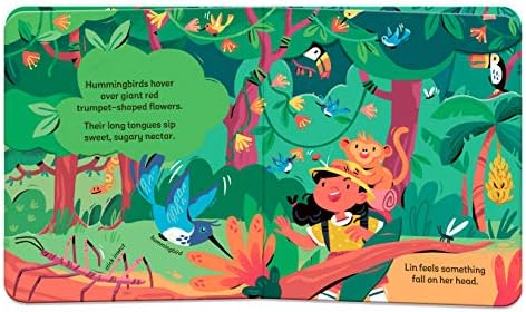 Zoom: Rainforest Adventure by Susan Hayes