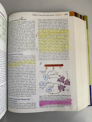 Understanding Pathophysiology 4th Edition (Book Only) by PhD Sue E. Huether, RN , PhD; Kathryn L. McCance, RN