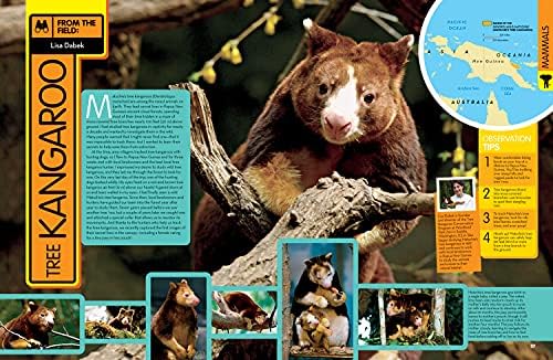 National Geographic Kids Animal Encyclopedia, 2nd Edition: 2,500 Animals with Photos, Maps, and More! (NGK Encyclopedias) by National Geographic