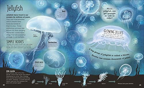 Earth's Incredible Oceans (The Magic and Mystery of the Natural World) by Jess French