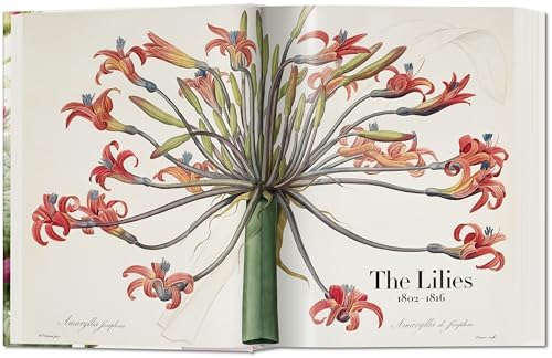 Redouté. The Book of Flowers by H. Walter Lack