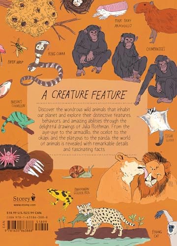 Wildlife Anatomy: The Curious Lives & Features of Wild Animals around the World by Julia Rothman