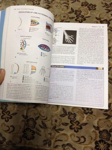 Langman's Medical Embryology by Ph.D. Sadler, T. W.