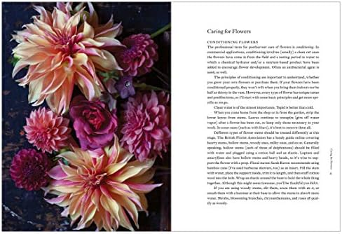 Cultivated: The Elements of Floral Style by Christin Geall