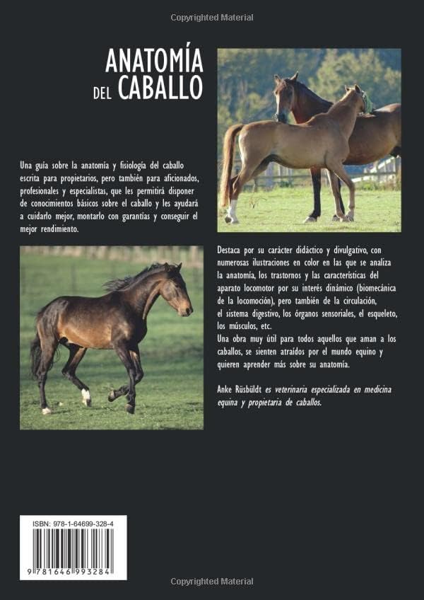 Anatomía del caballo (Spanish Edition) by Anke Rüsbüldt