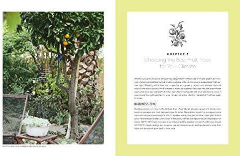Grow Your Own Mini Fruit Garden: Planting and Tending Small Fruit Trees and Berries in Gardens and Containers by Christy Wilhelmi