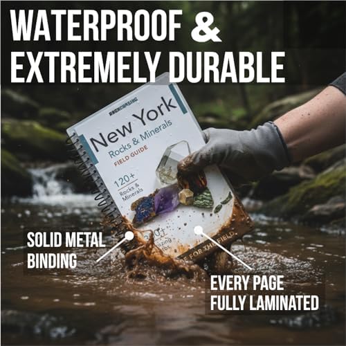 New York Rocks and Minerals Identification Field Guide | Waterproof | Find & Identify Rocks, Minerals, Crystals, and Gems | For Beginners, Kids, and Experienced Rockhounds | Rock Chasing by Rock Chasing