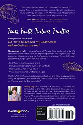 Hidden Potential: Revealing What God Can Do through You by Wendy Pope