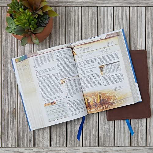 NIV, Chronological Study Bible, Hardcover, Comfort Print: Holy Bible, New International Version by Thomas Nelson