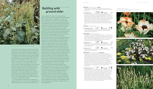 Dream Plants for the Natural Garden by Piet Oudolf
