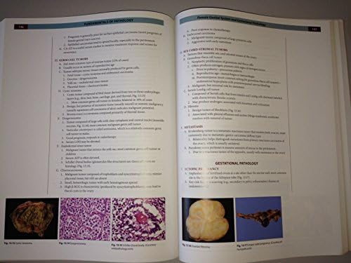 Fundamentals of Pathology by Husain A. Sattar