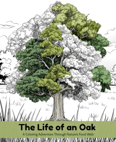 The Life of an Oak: A Coloring Adventure Through Nature's Food Web by Michelle Mayer