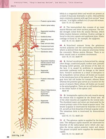 Gray's Anatomy Review: with STUDENT CONSULT Online Access by Marios Loukas MD PhD