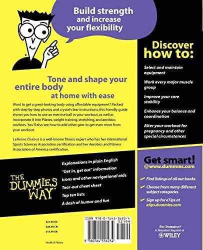 Exercise Balls For Dummies by LaReine Chabut