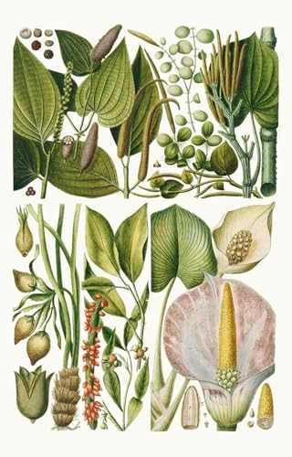 100 Flowers: One Hundred Postcards from the Royal Horticultural Society by Royal Horticultural Society