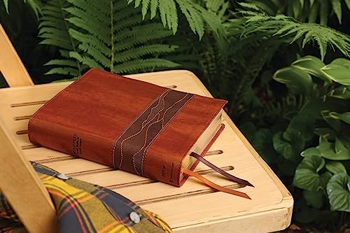 Rooted: The NIV Bible for Men, Leathersoft, Brown, Comfort Print: Shaping Men for Faithful Living in Today’s World by Zondervan