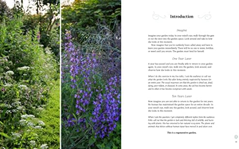 The Regenerative Garden: 80 Practical Projects for Creating a Self-sustaining Garden Ecosystem by Stephanie Rose